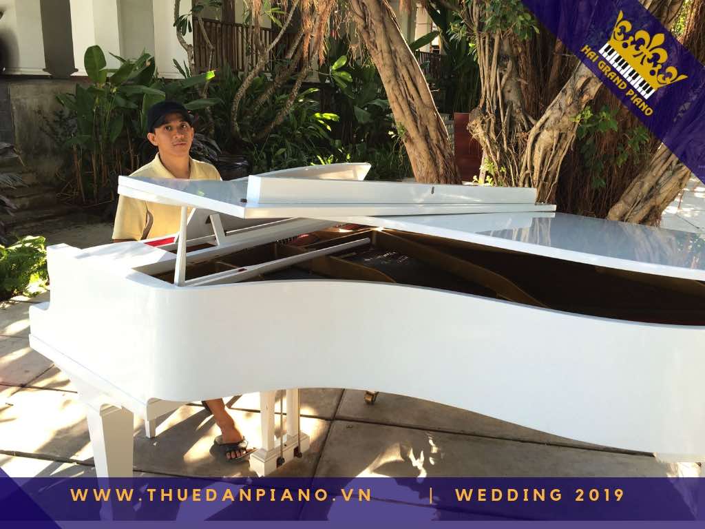 thue dan grand piano tiec cuoi 2019_001