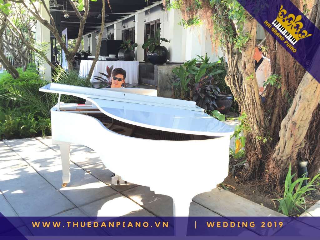 thue dan grand piano tiec cuoi 2019_002