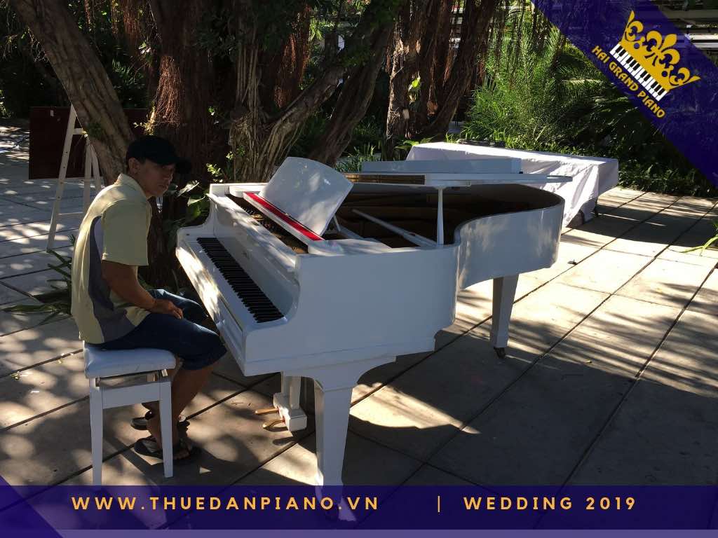 thue dan grand piano tiec cuoi 2019_003