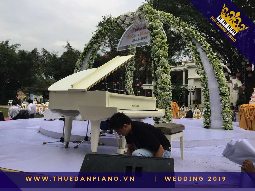 thue dan grand piano  tiec cuoi 2019