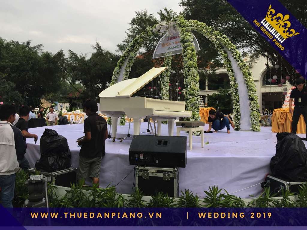thue dan grand piano  tiec cuoi 2019_002