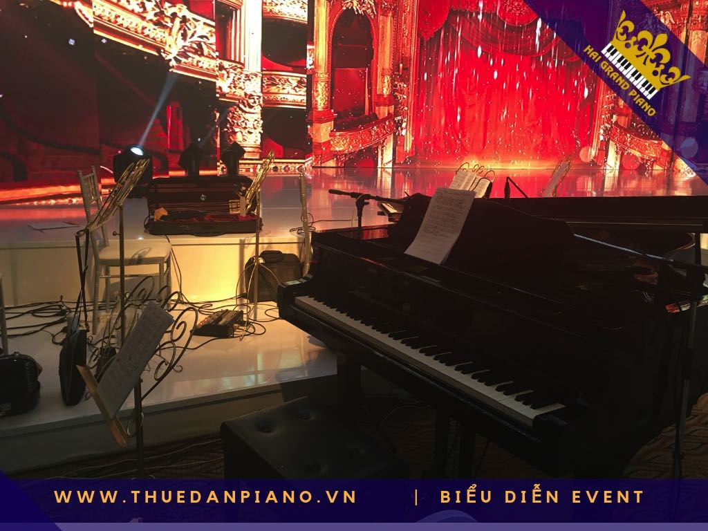 thue-piano-grand-bieu-dien_002