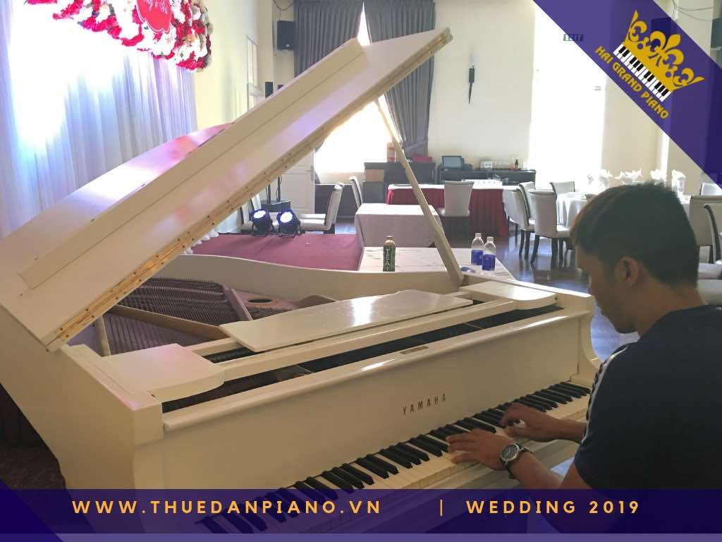 thue piano tiec cuoi q1_001