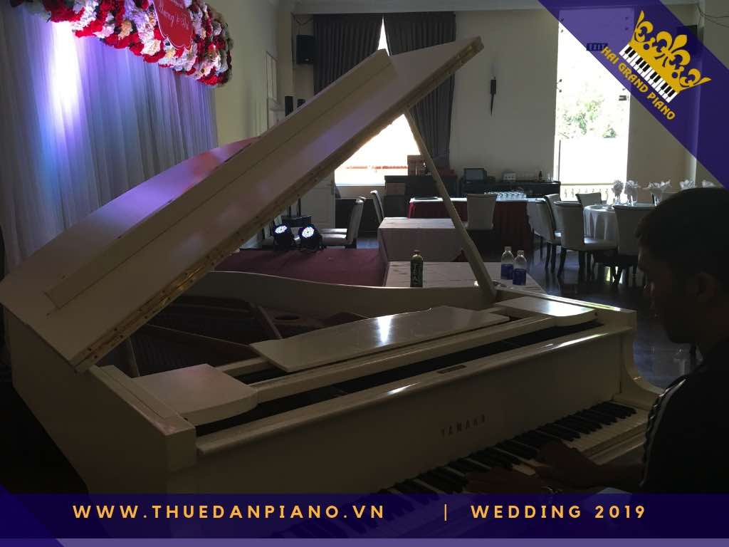 thue piano tiec cuoi q1_002