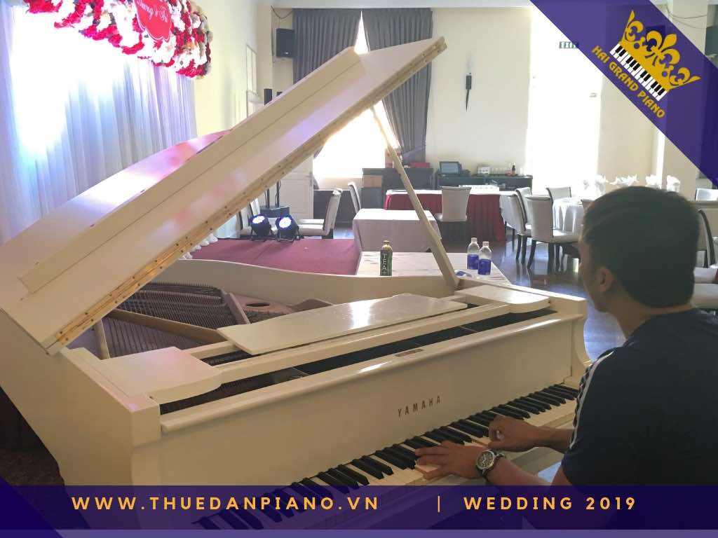 thue piano tiec cuoi q1_003