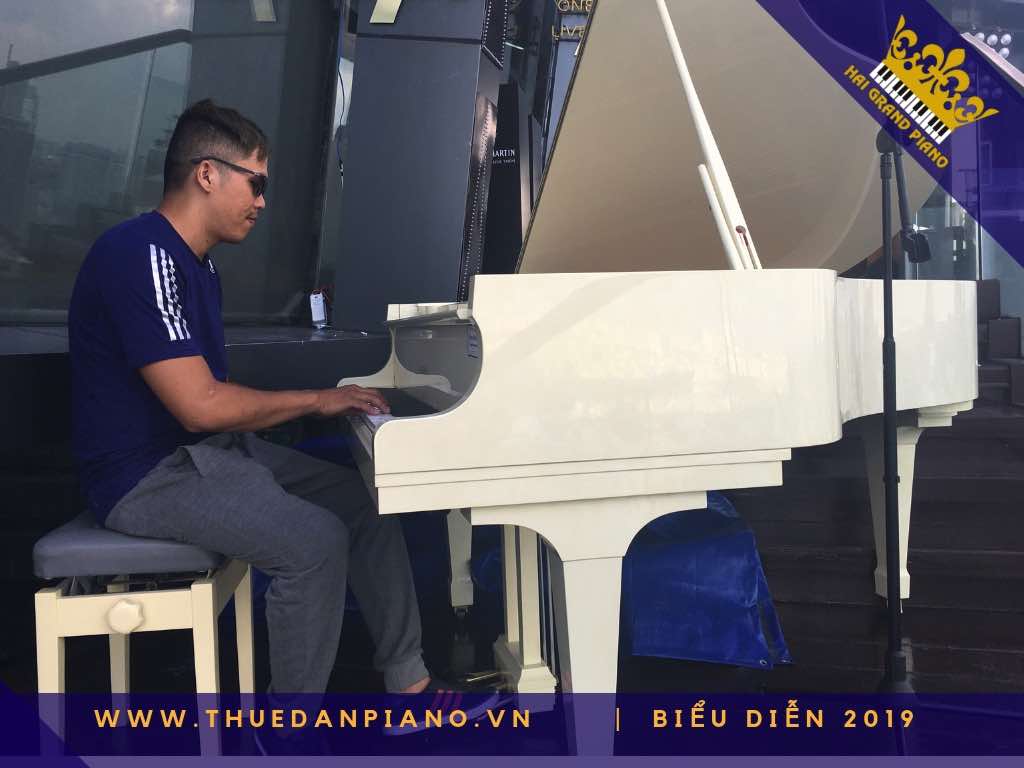 thue dan piano bieu dien q1_002