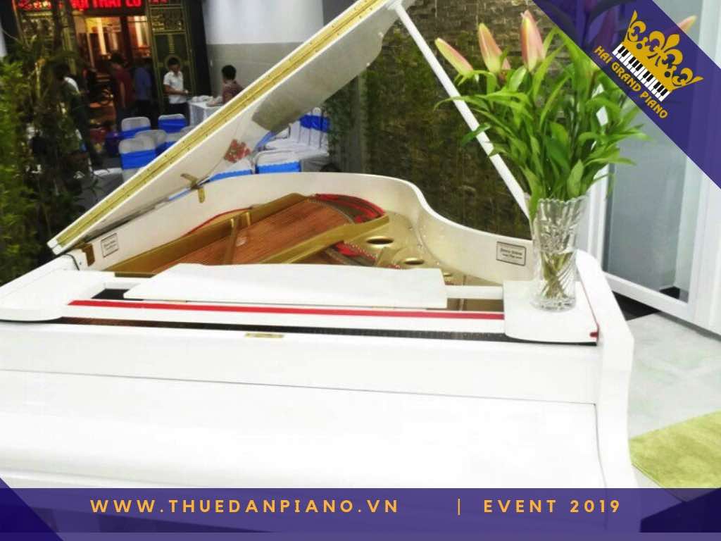 thue dan piano gia re q7_002