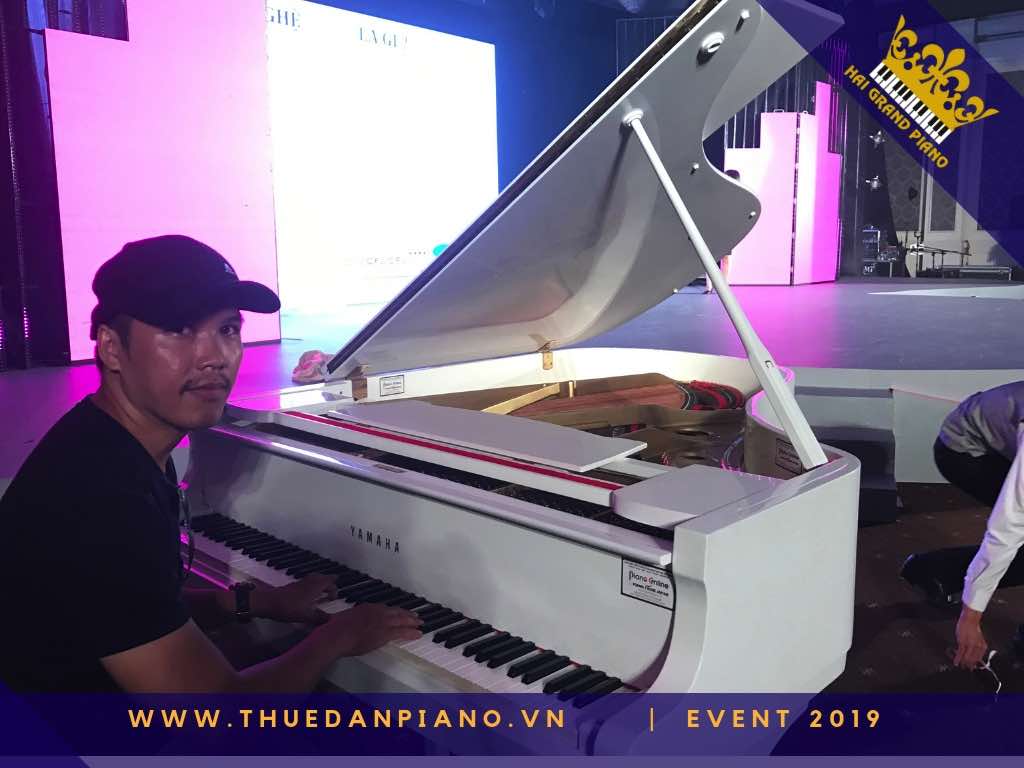 thue dan piano gia re q8