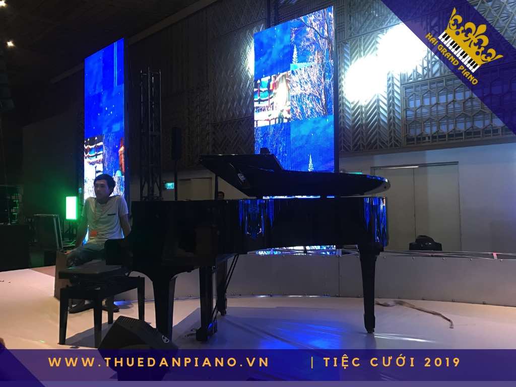 thue dan piano gia re 3_002