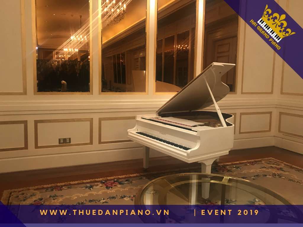 thue dan piano gia re 4