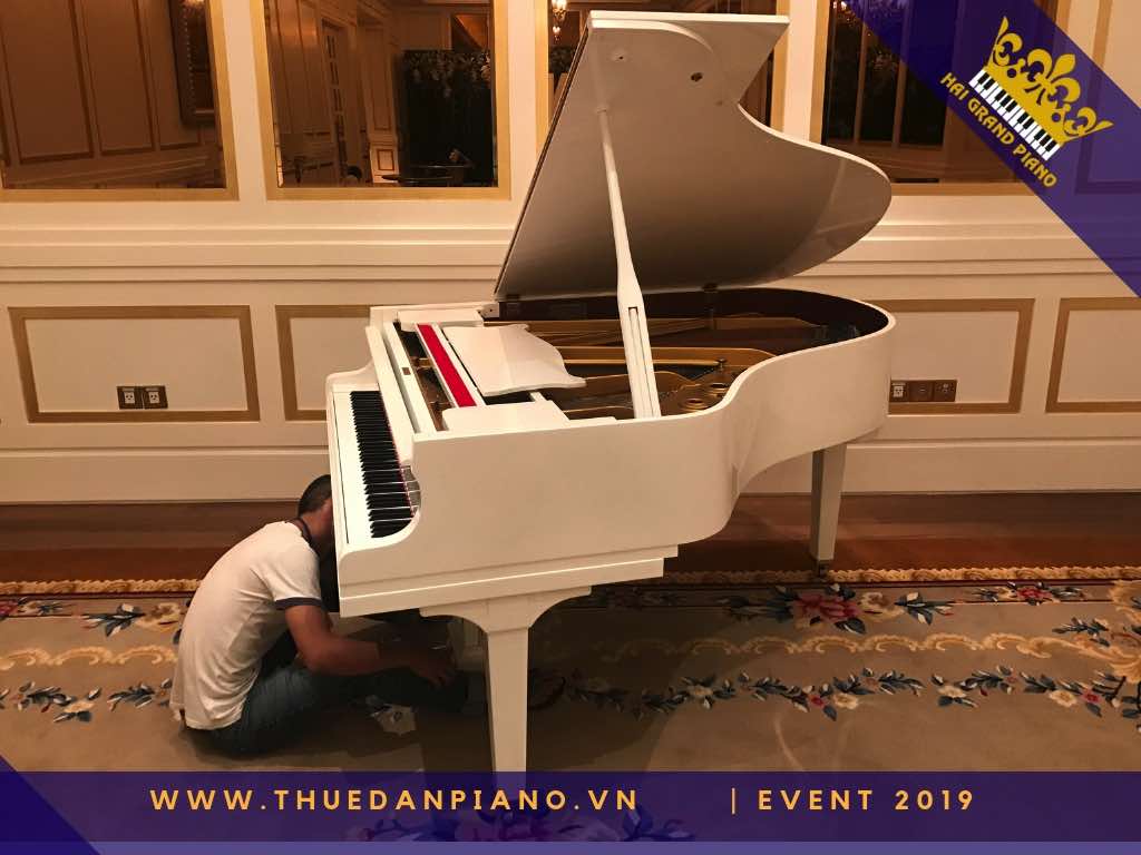 thue dan piano gia re 4_001