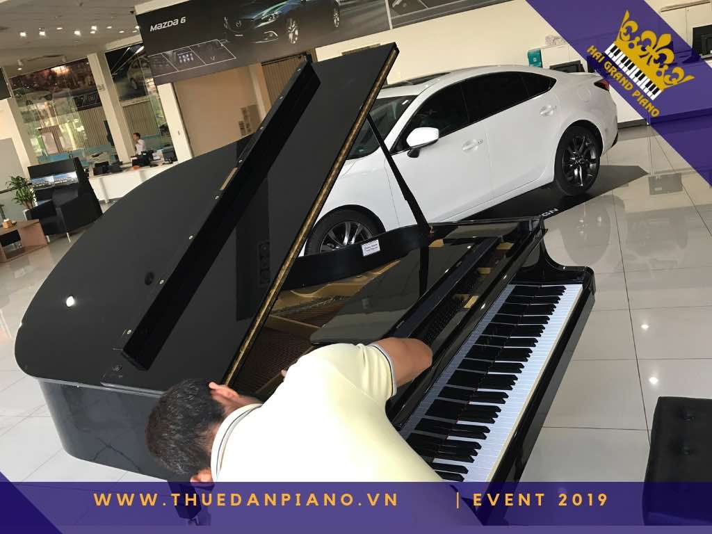 thue dan piano gia re 10