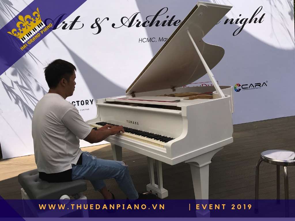 thue dan piano gia re 20
