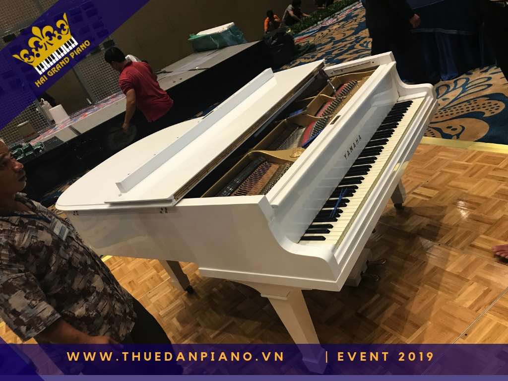 thue dan piano gia re 25