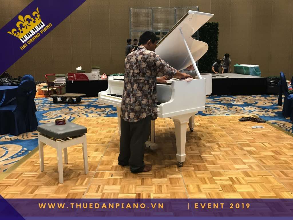 thue dan piano gia re 25_001