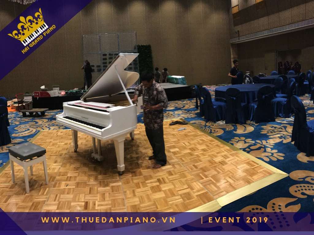 thue dan piano gia re 25_002