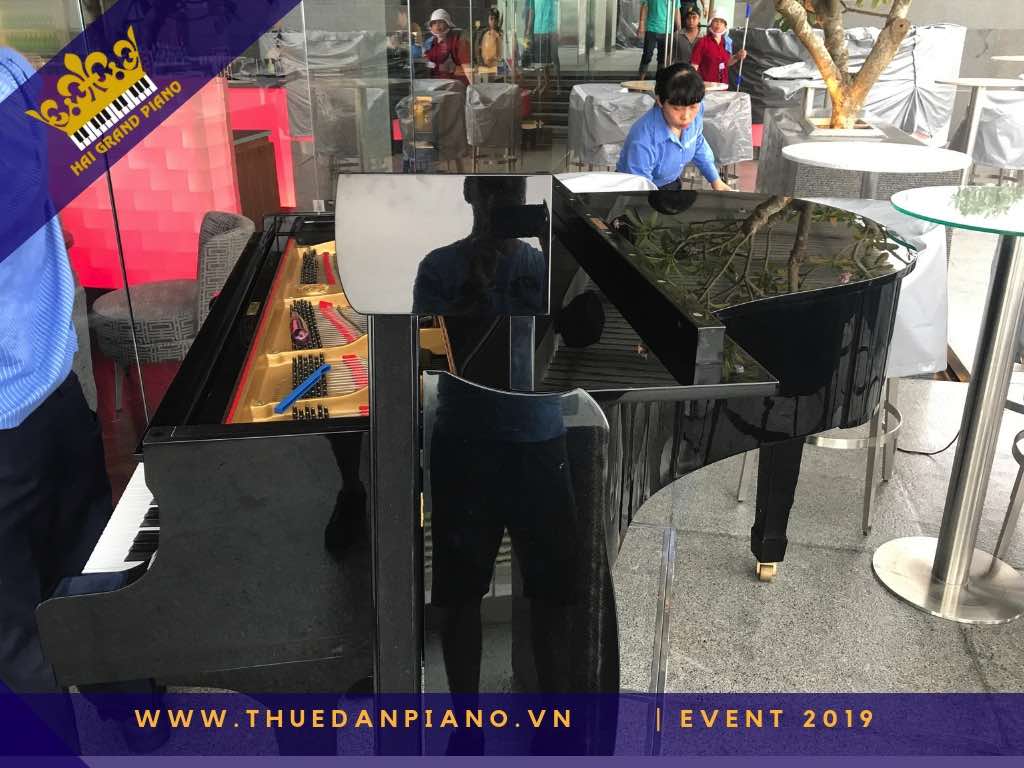 thue dan piano gia re 26