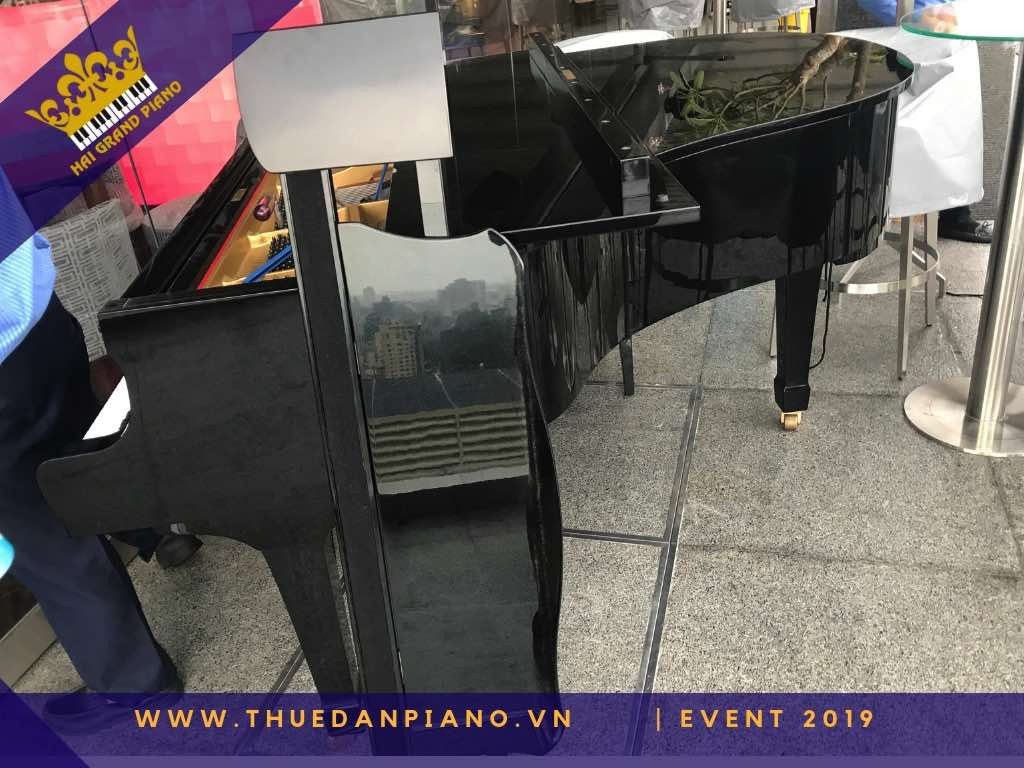 thue dan piano gia re 26_001