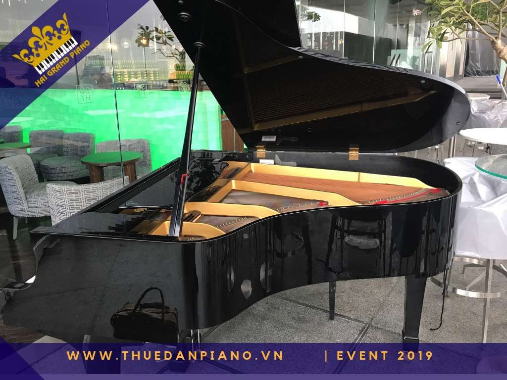 thue dan piano gia re 26_002