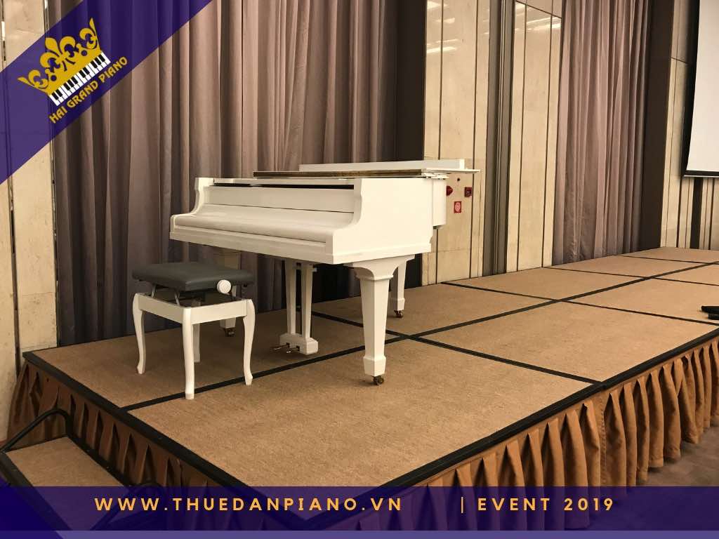 thue dan piano gia re 30