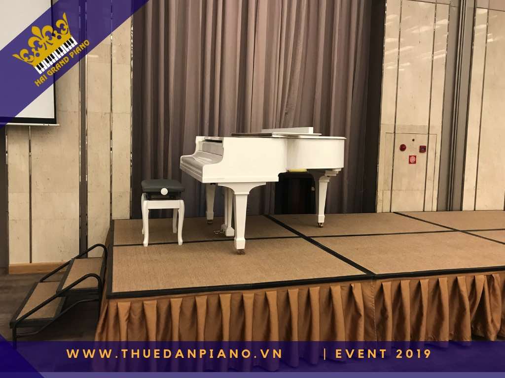 thue dan piano gia re 30_001