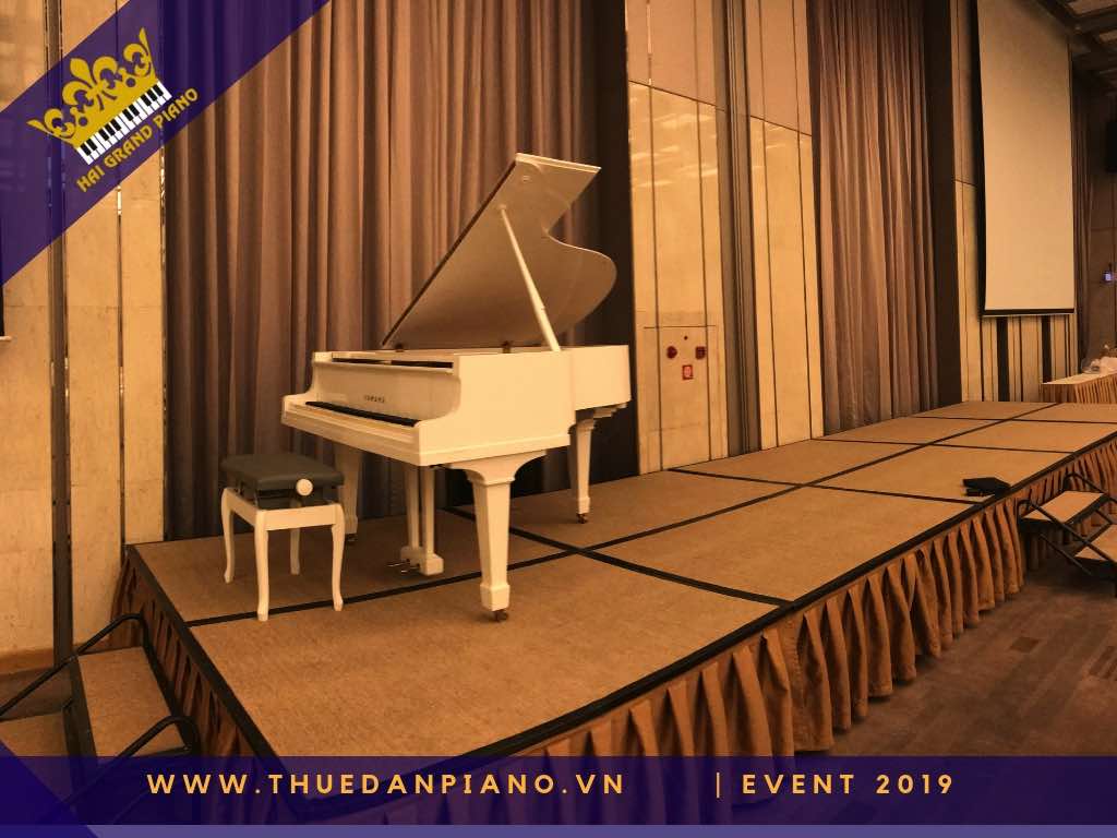 thue dan piano gia re 30_002