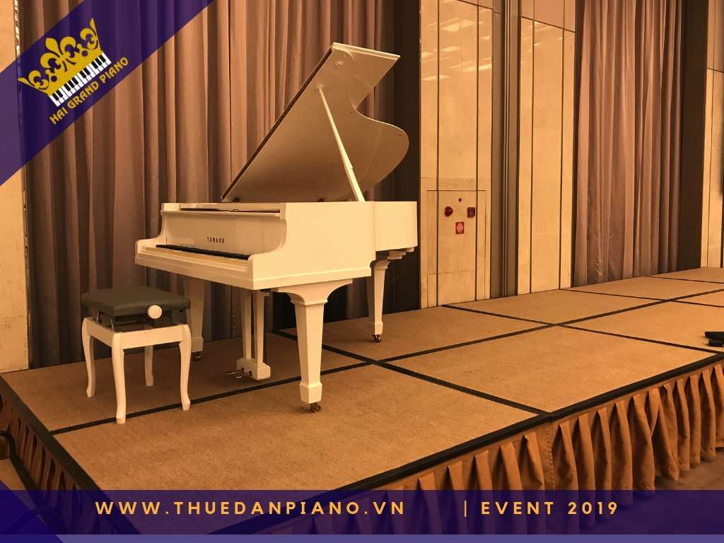 thue dan piano gia re 30_003