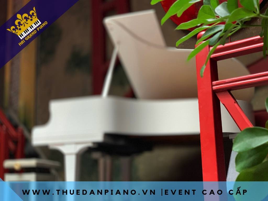 thue-dan-piano-white_004