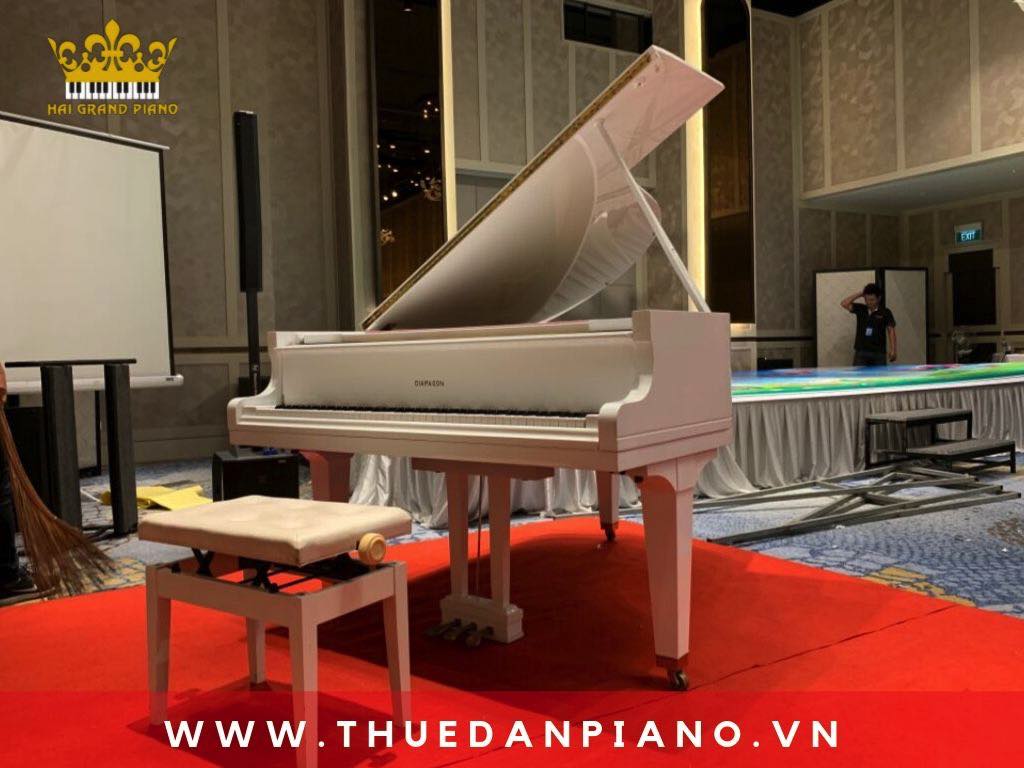 thue-dan-piano-grand-white-quan-1-hcm_001