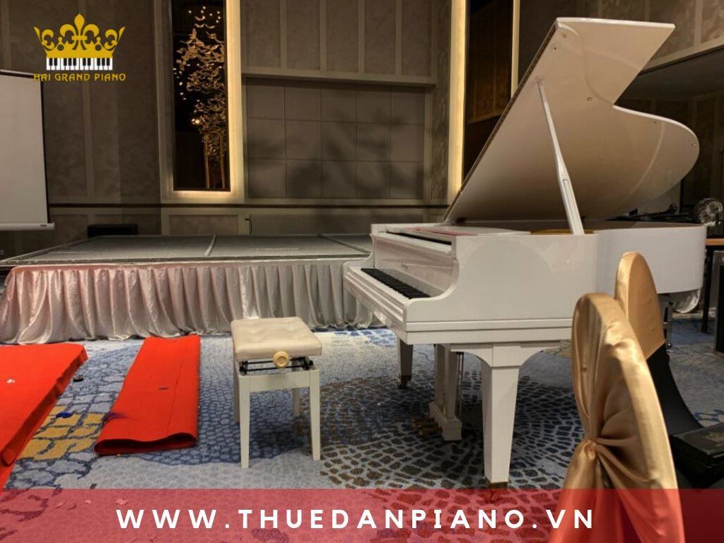 thue-dan-piano-grand-white-quan-1-hcm_002