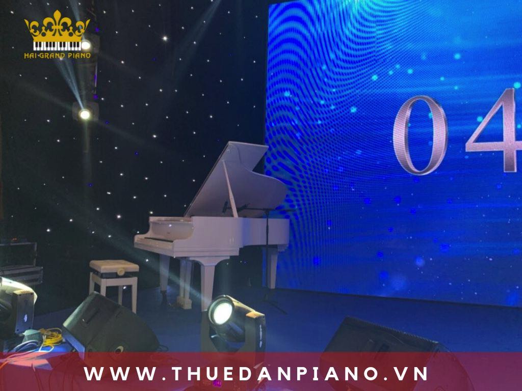 thue-dan-piano-event-quan-1_004
