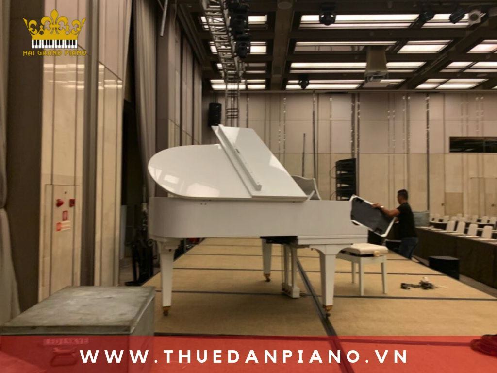 thue-piano-tiec-sinh-nhat