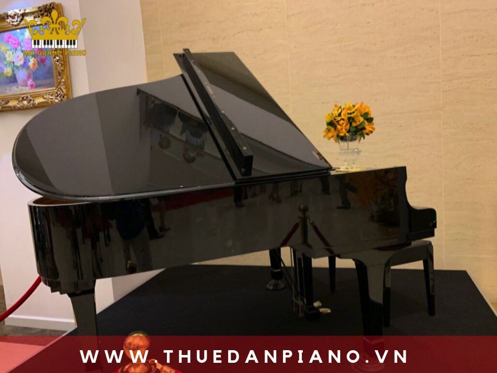 cho-thue-dan-piano-grand-sanh-tiec-cuoi