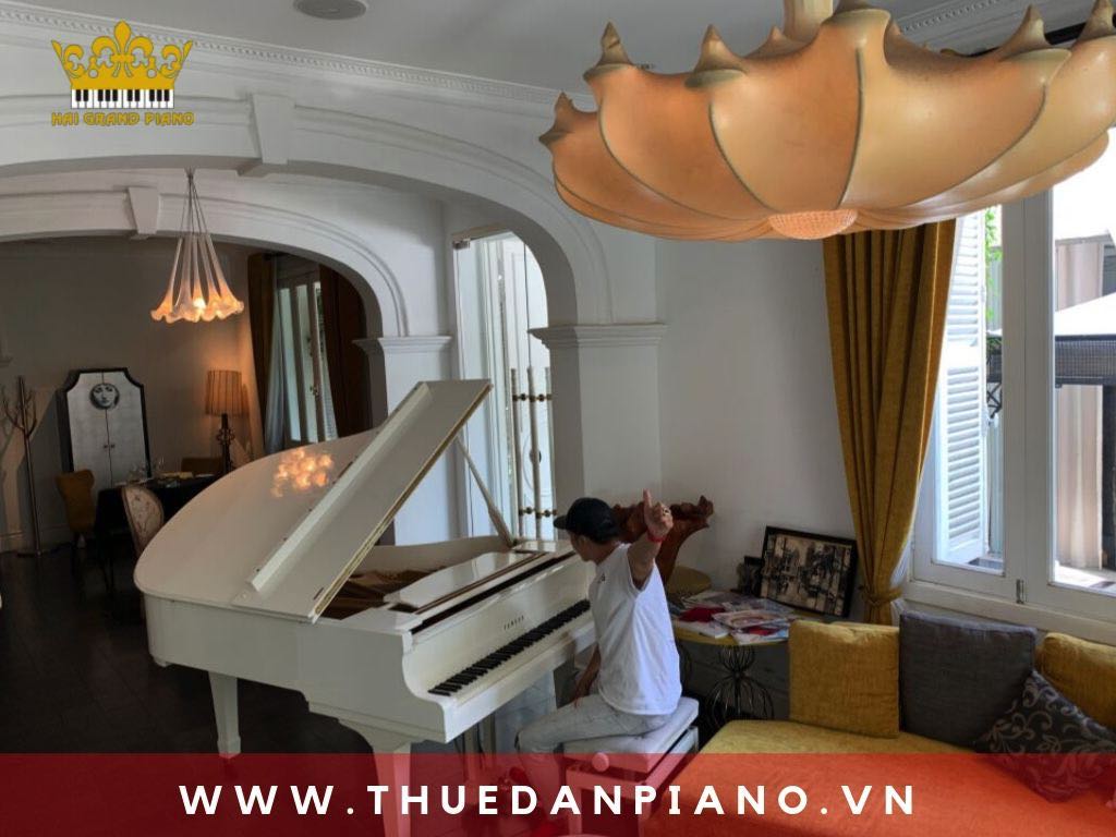 thue-dan-piano-nha-hang