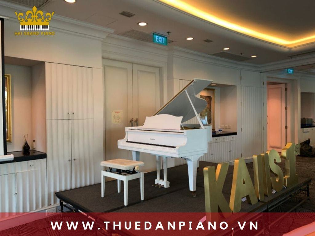 cho-thue-dan-piano-tiec-sinh-nhat