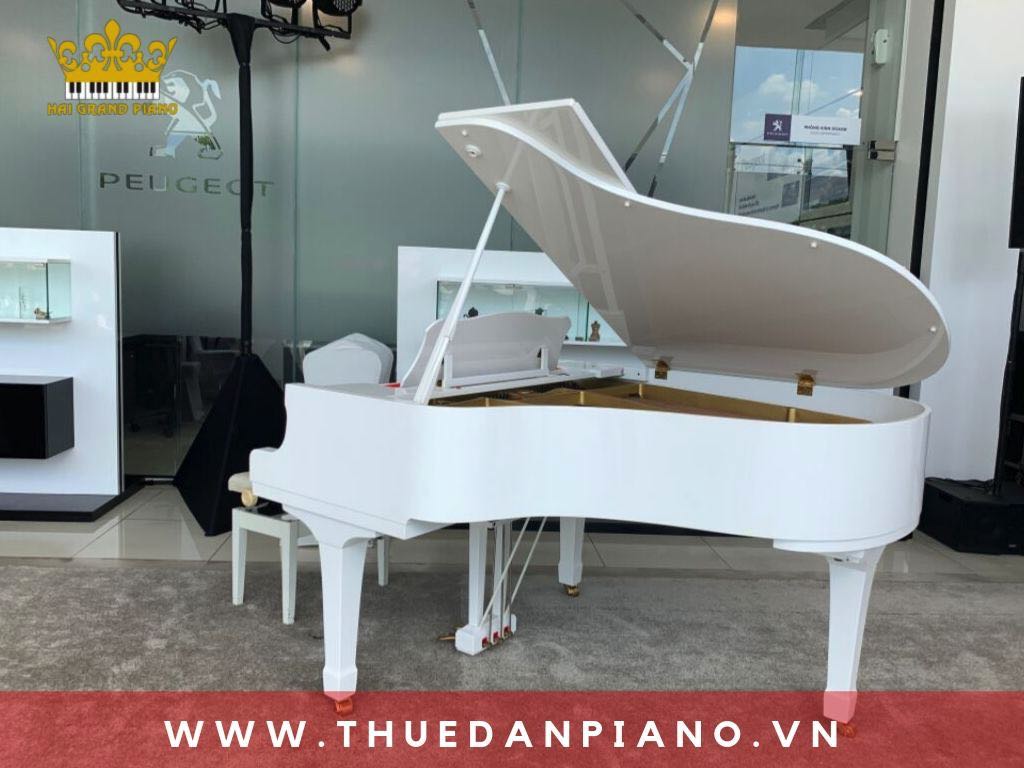 thue-dan-piano-showroom-oto