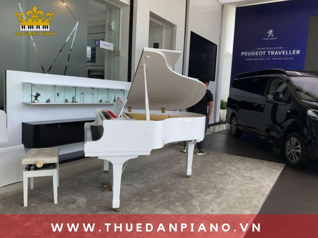 thue-dan-piano-showroom-oto_002