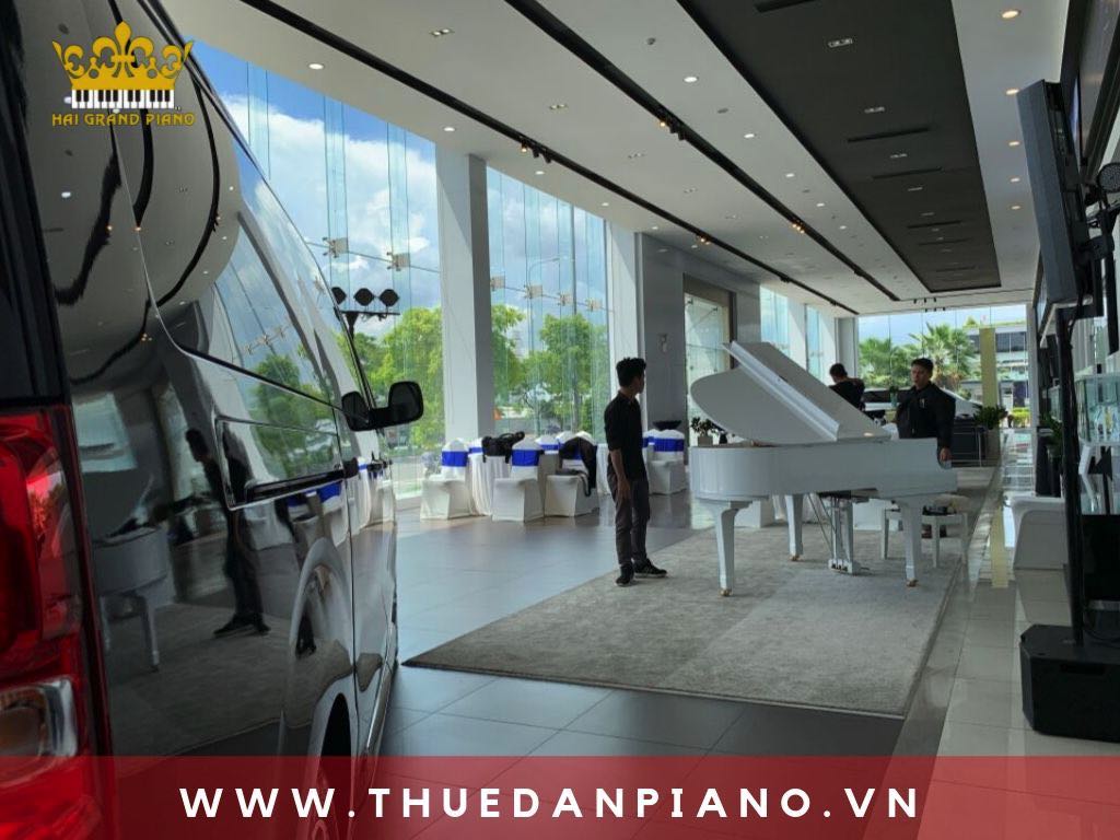 thue-dan-piano-showroom-oto_003
