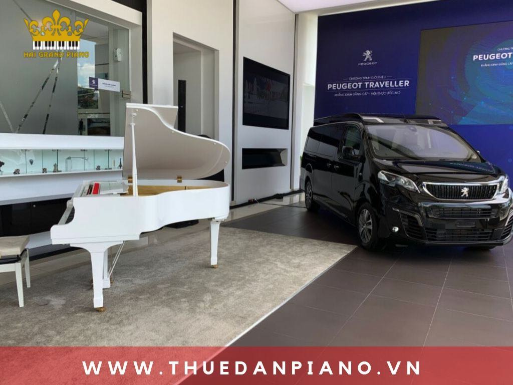 thue-dan-piano-showroom-oto_004