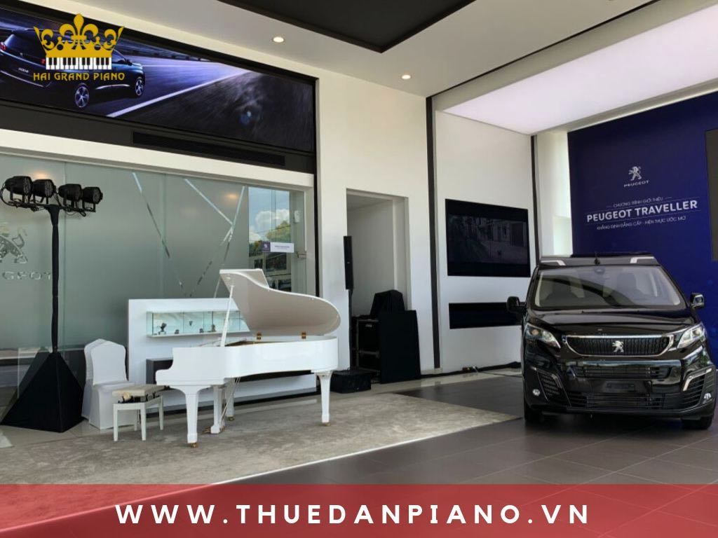 thue-dan-piano-showroom-oto_005