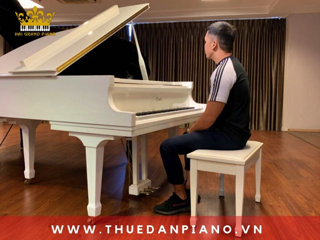 cho-thue-dan-piano-bieu-dien-quan-3_001