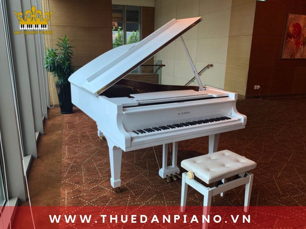 cho-thue-dan-piano-bieu-dien-quan-1