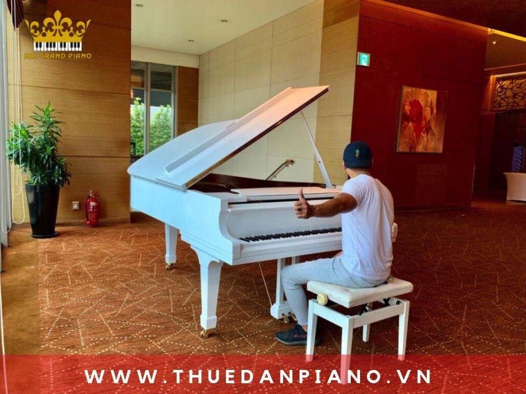 cho-thue-dan-piano-bieu-dien-quan-1_002