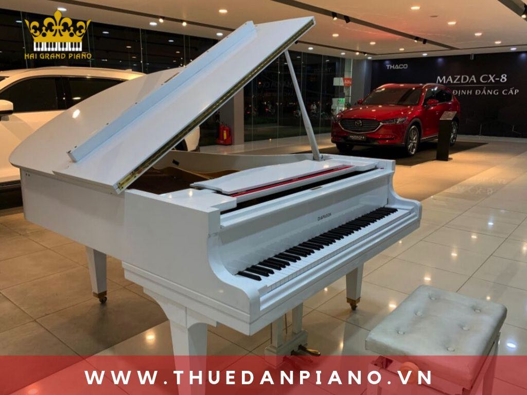 cho-thue-dan-piano-ra-mat-xe_001