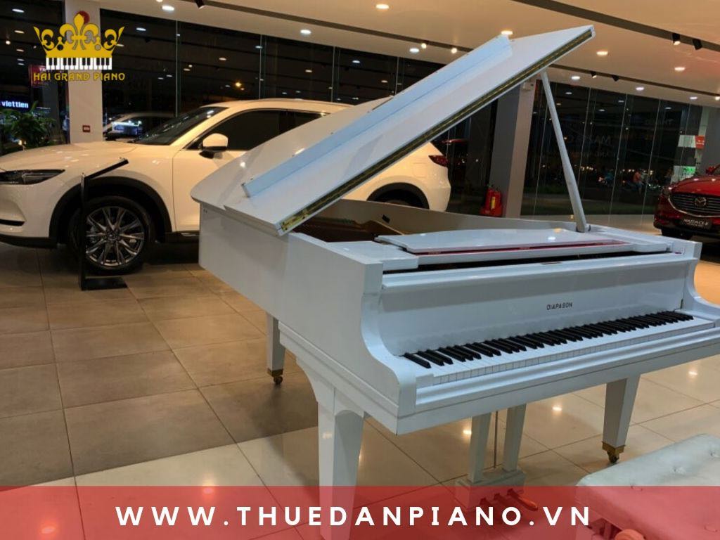 cho-thue-dan-piano-ra-mat-xe_002