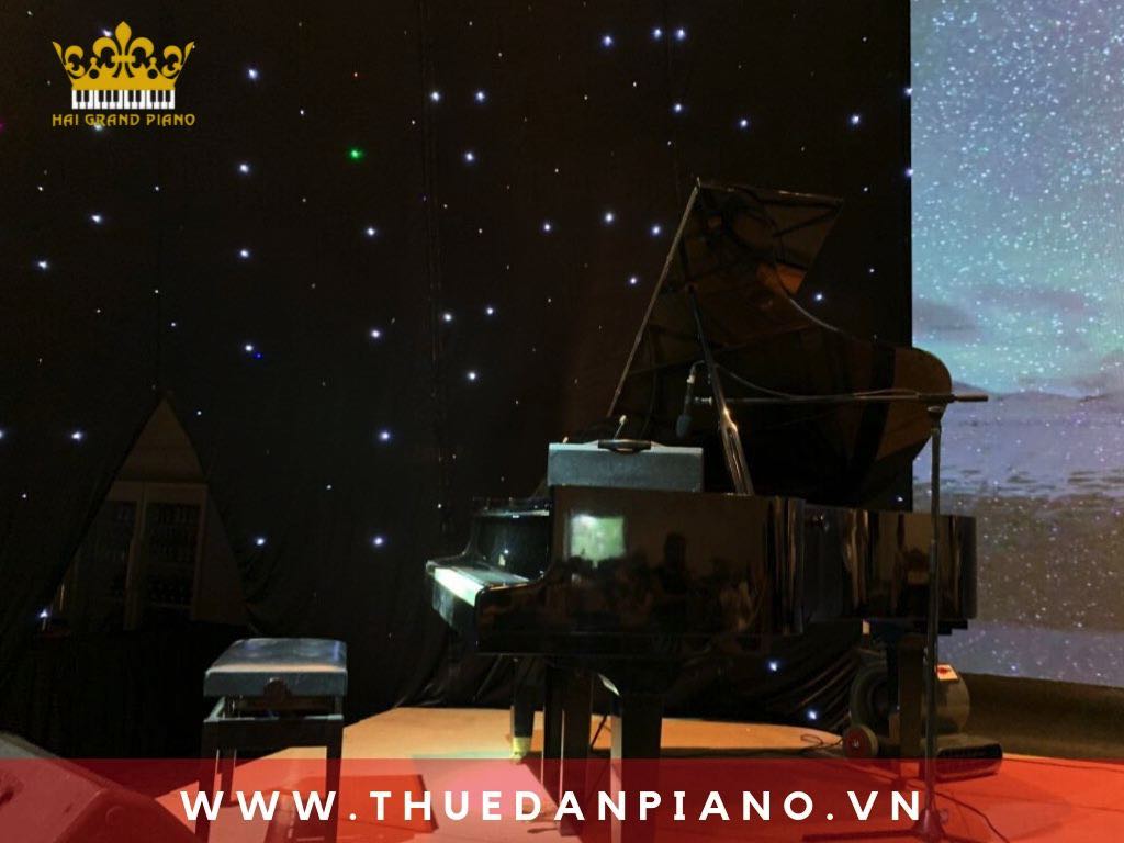 cho-thue-dan-piano-grand-event