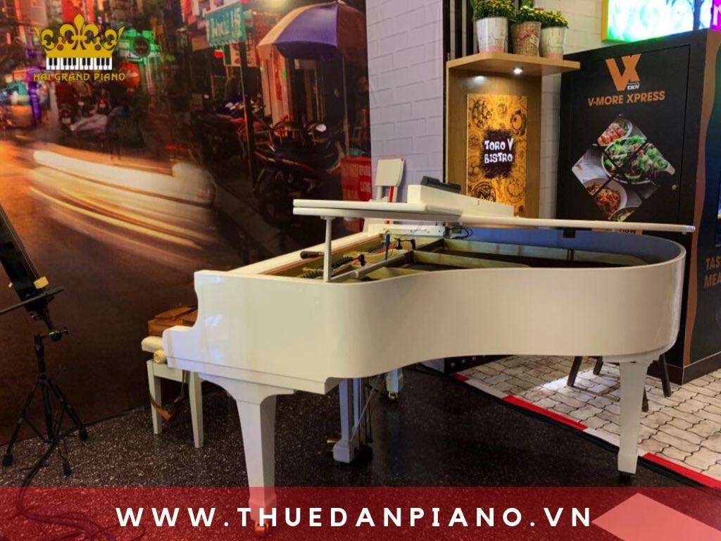 cho-thue-dan-piano-grand-event-mau-trang_001