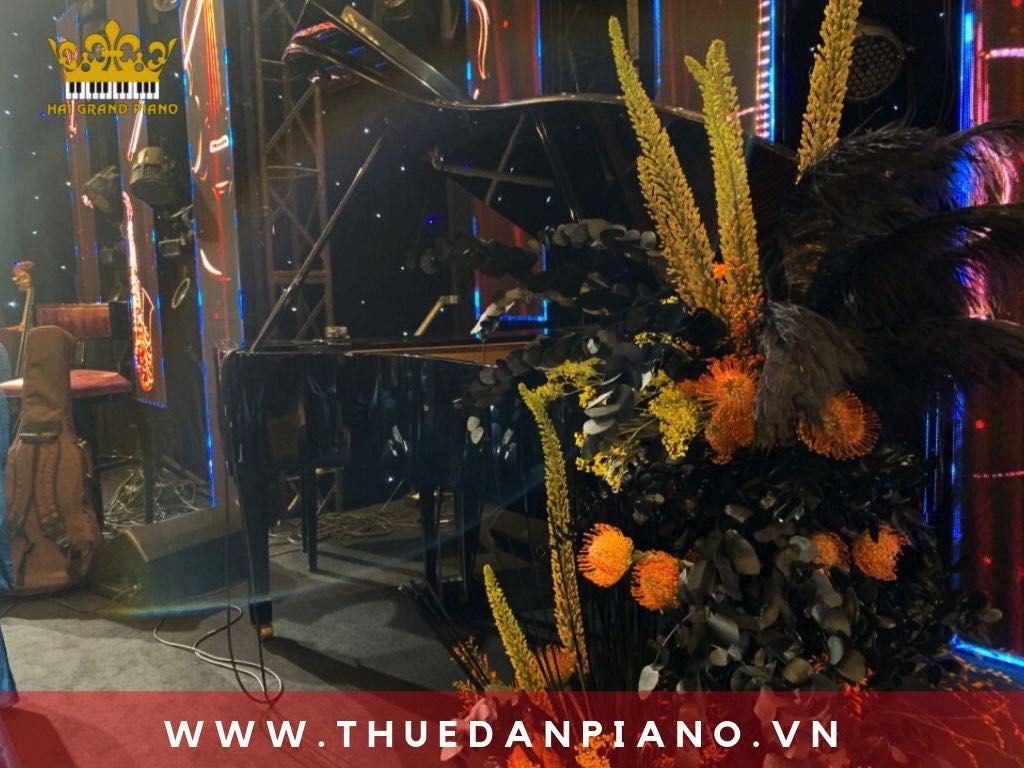 thue-piano-bieu-dien-sinh-nhat_001
