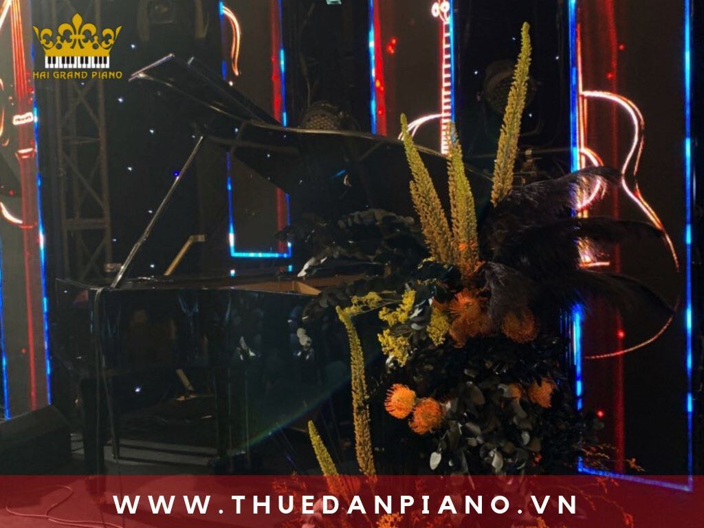 thue-piano-bieu-dien-sinh-nhat_002