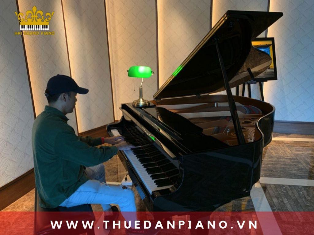 thue-piano-tphcm_002